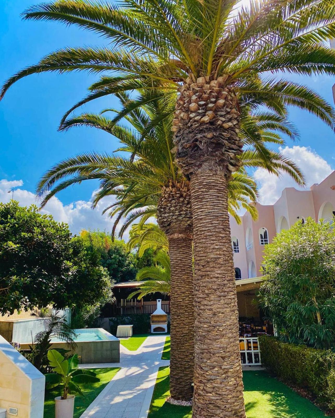 Karteros Hotel Dış mekan fotoğraf