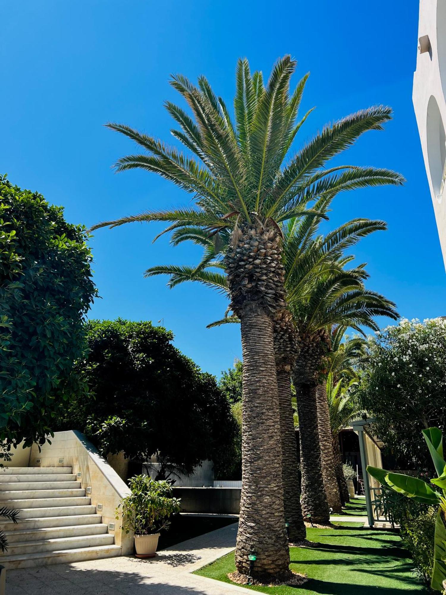 Karteros Hotel Dış mekan fotoğraf